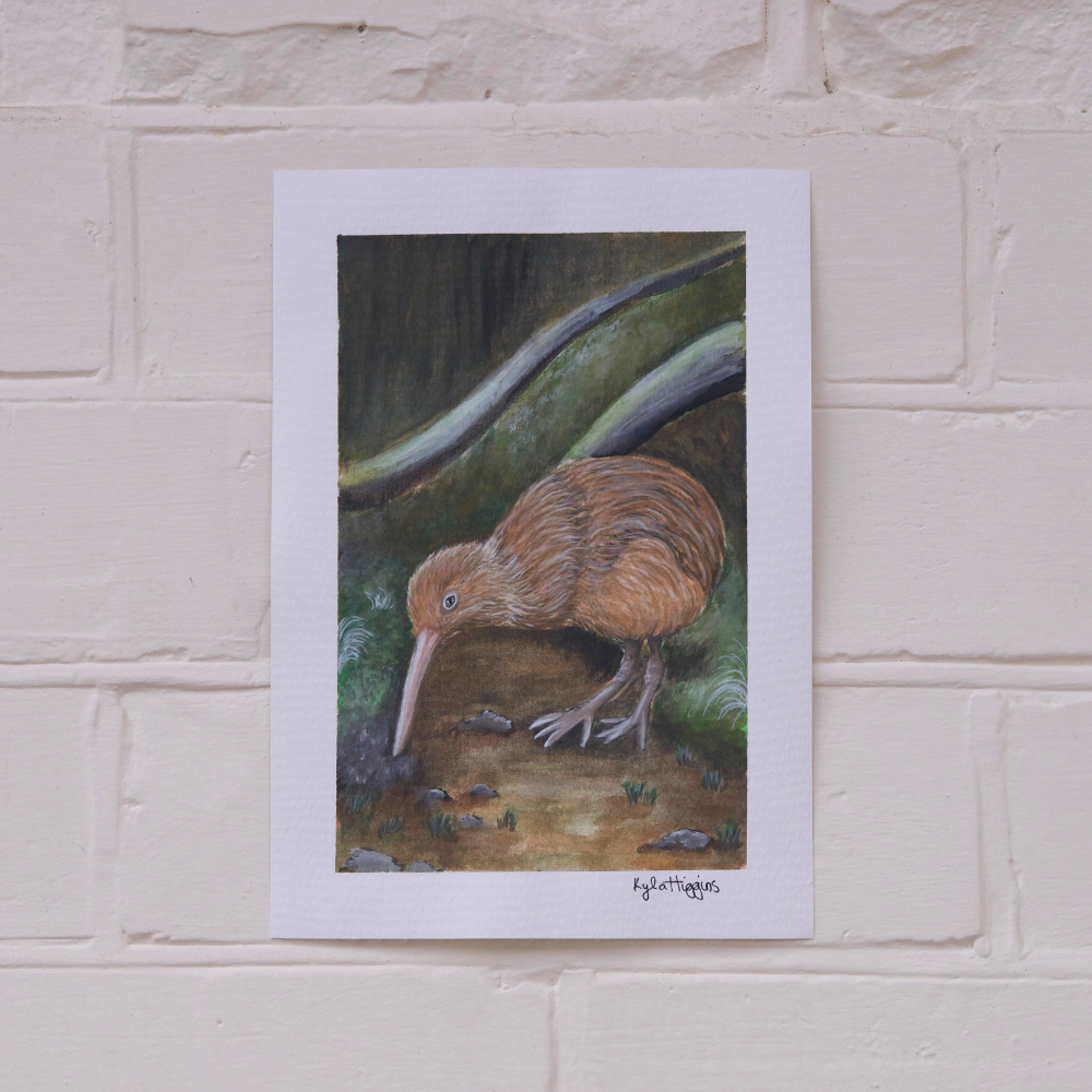 Kiwi | A5 Original