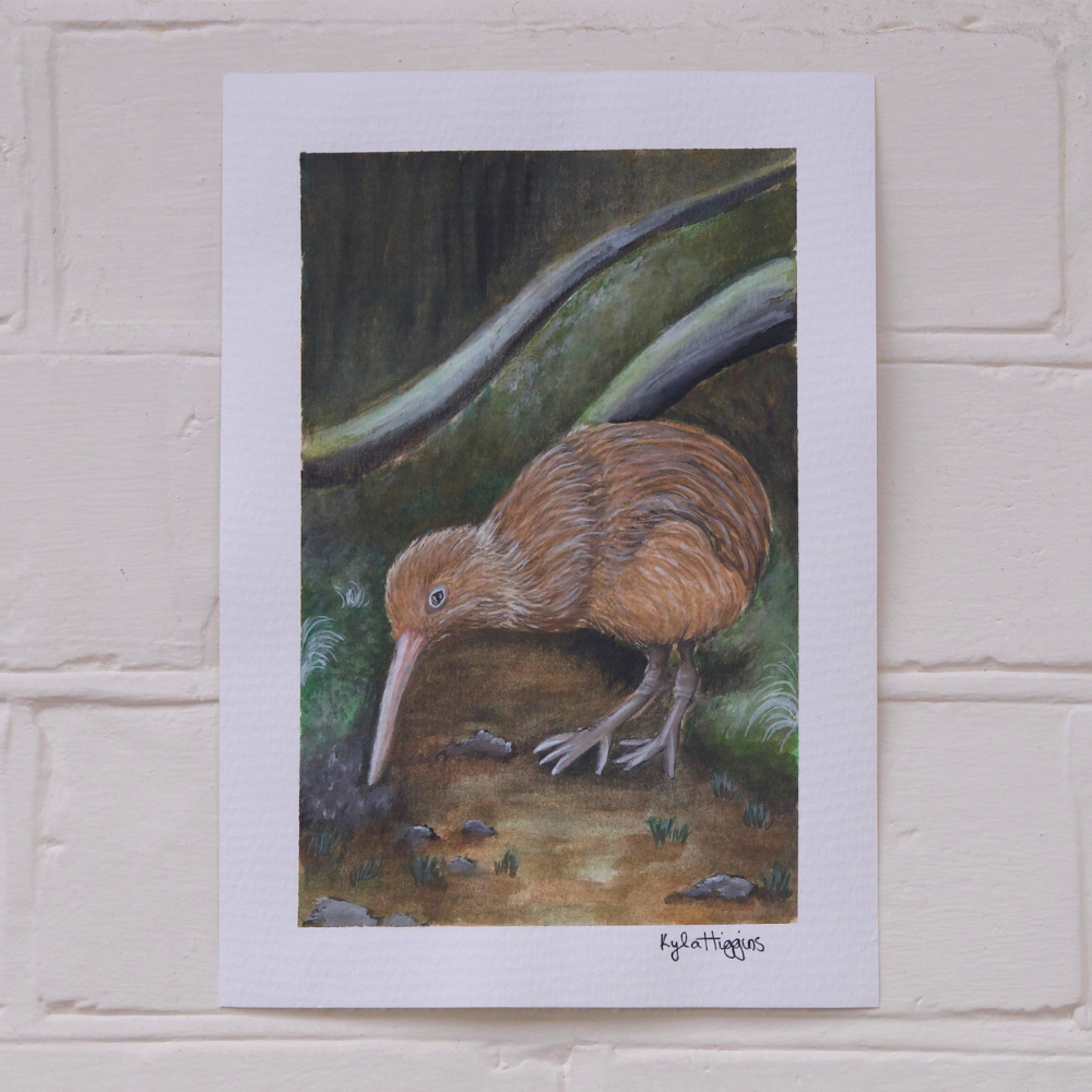 Kiwi | A5 Original