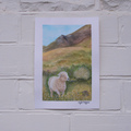 Sheep On a Hill | A5 Original